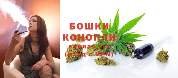 мяу мяу мука Сафоново