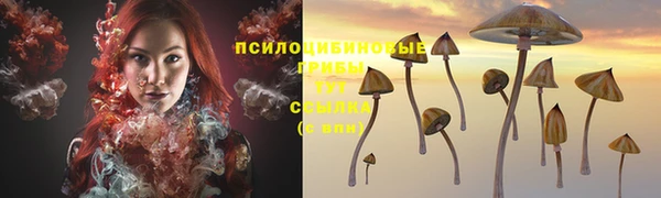 ГАЛЛЮЦИНОГЕННЫЕ ГРИБЫ Арсеньев