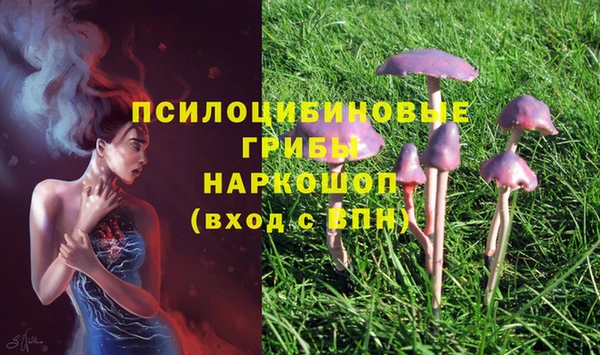 ГАЛЛЮЦИНОГЕННЫЕ ГРИБЫ Арсеньев